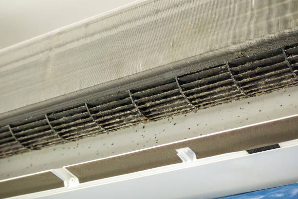 Best Air Duct Cleaning Cost  in Flatonia, TX